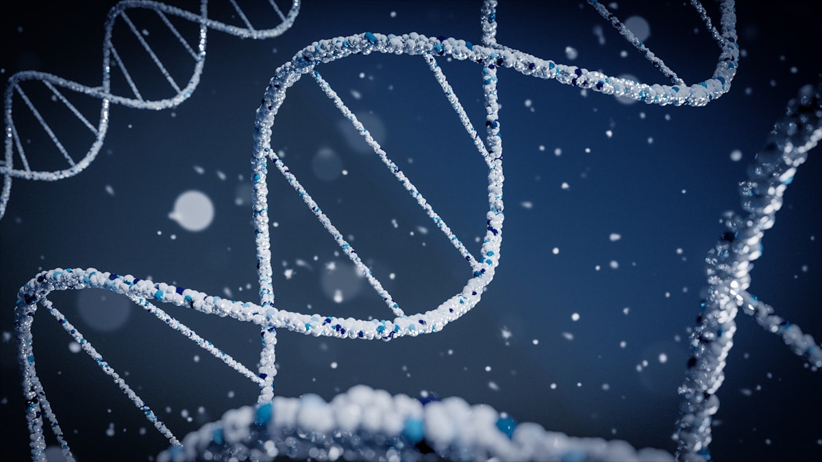 DNA structure